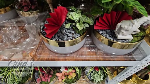 Chinese New Year Foliage Garden 63oz / 1.86L