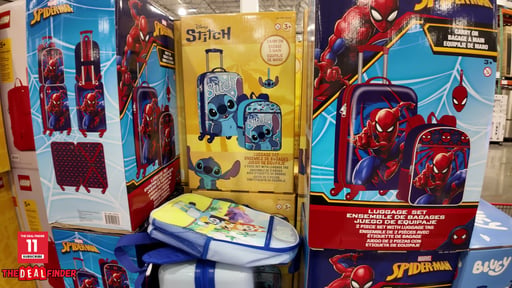 Licensed 2-Piece Luggage Set with Tag, Character Assortment