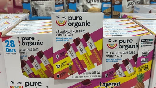 Organic Pure Layered Fruit Bar 28CT