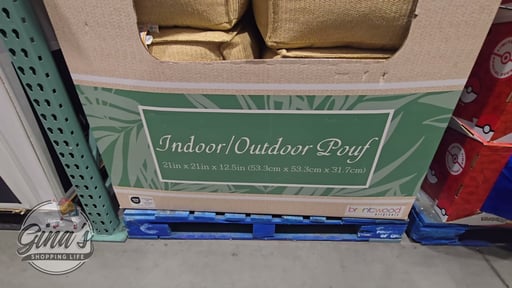 Hermosa Indoor/Outdoor Pouf
