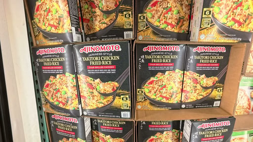Ajinomoto Yakitori Chicken Fried Rice 6/9 oz