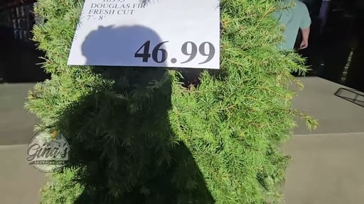 Douglas Fir Fresh Cut 7'-8'
