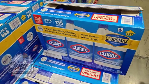 Clorox Performance Bleach 3/121 Oz