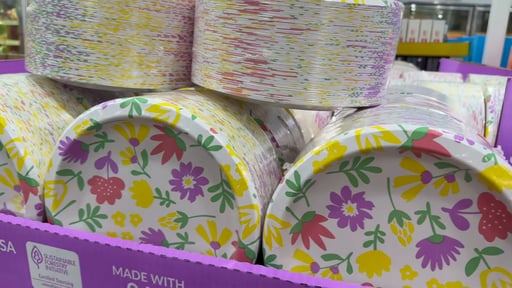 Easter Floral Paper Plates 100 Count