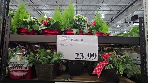 Holiday Winter Garden Planter