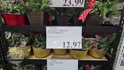 9" Holiday Greens Centerpiece