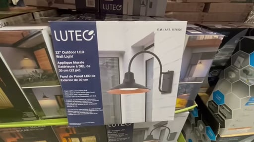 LUTEC 12" Wall Light