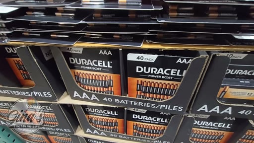 Duracell Power Boost Alkaline AAA Batteries 40-Pack