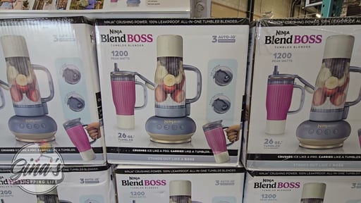 Ninja BlendBoss Single Serve Blender