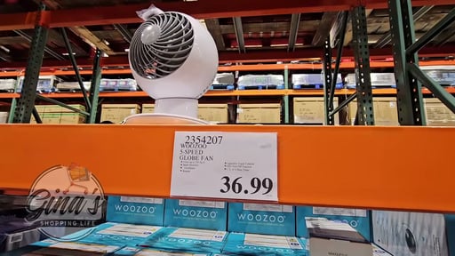 Woozoo 5-Speed Globe Fan