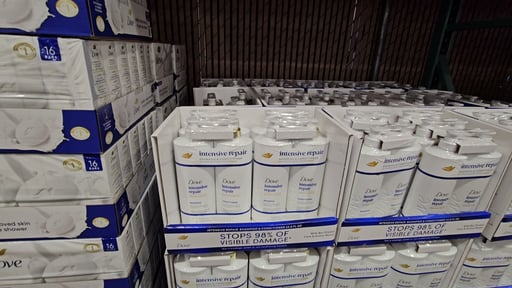 Dove Shampoo & Conditioner Intensive Repair 2 Pack