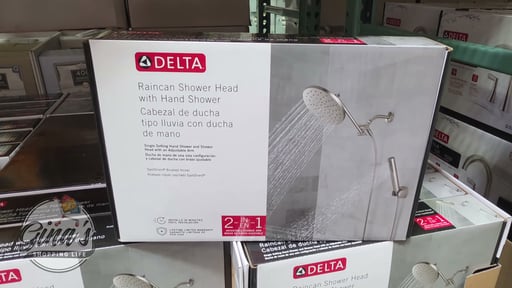 Delta 8-Inch Raincan Shower Head with Hand Shower, Brushed Nickel