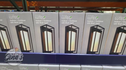 LUTEC 13.5" Modern Wall Light