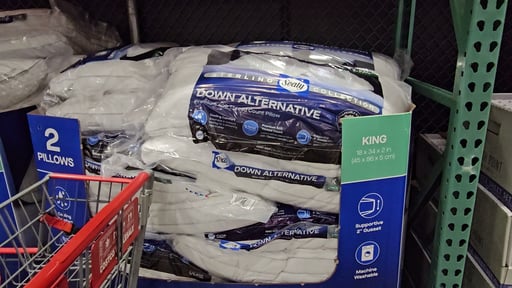 Sealy Sterling Down Alternative Pillow 2pk - King