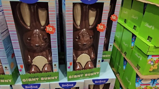 Maud Borup Giant Chocolate Bunny 160 Ounce Container