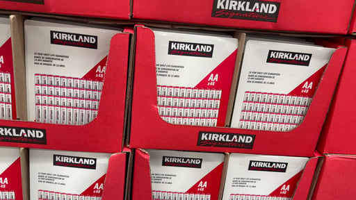 Kirkland Signature Alkaline AA Batteries 48-Pack