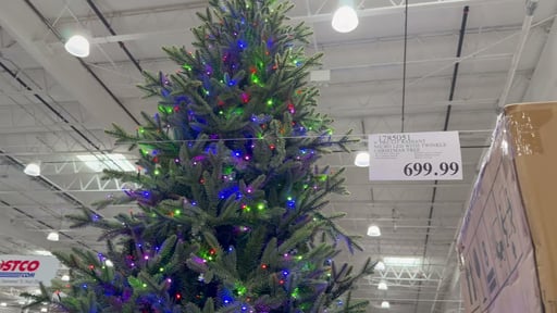 9' Pre-Lit Radiant Micro LED with Twinkle Christmas Tree