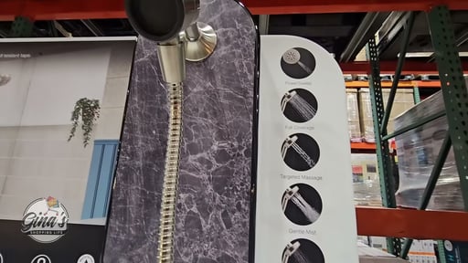 Kohler Assert Multi-Function Handheld Shower Head
