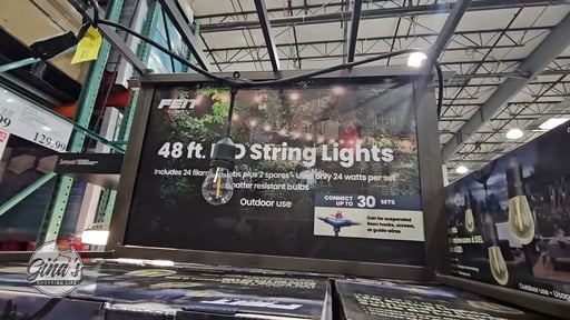 Feit Electric 48' LED String Lights