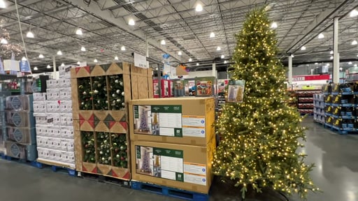9' Pre-Lit Radiant Micro LED with Twinkle Christmas Tree