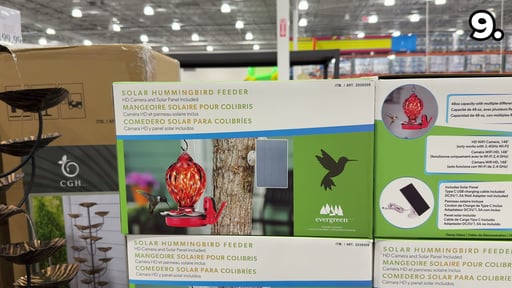 Evergreen Solar Hummingbird Feeder
