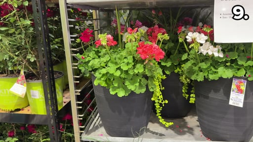 16" Premium Combo Planter