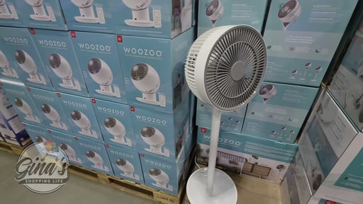 Woozoo 5-Speed Globe Fan