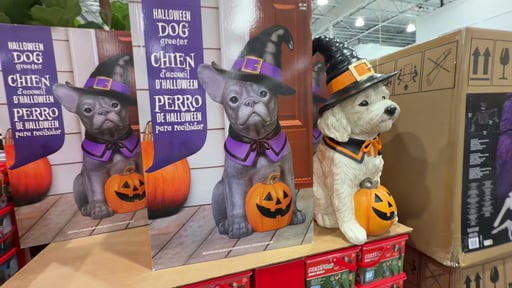 Halloween Dog Greeter
