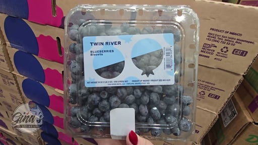 Twin River Blueberries