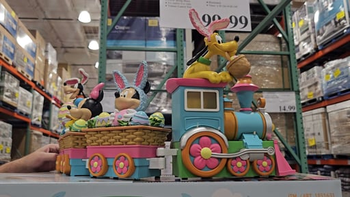 Disney Spring Train