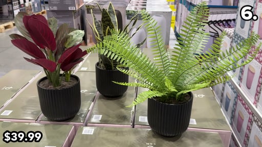 C.G. Hunter Faux Decorative Plant Trio