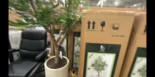 C.G. Hunter Faux 8' Olive Tree