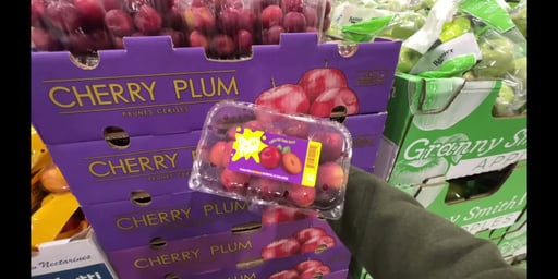 Imported Cherry Plums