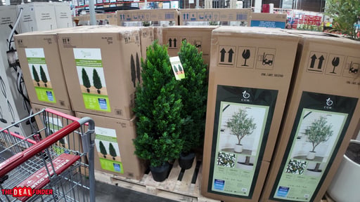 C.G. Hunter Faux 8' Olive Tree