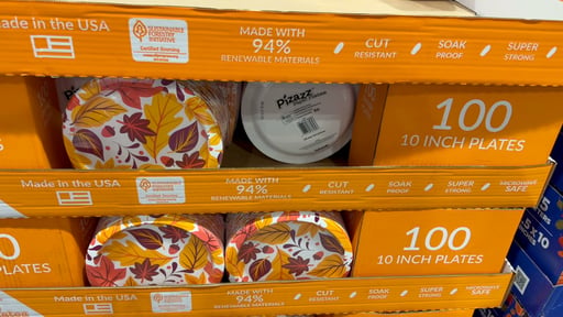 Chinet Pizazz Fall Plates 10" / 100 CT