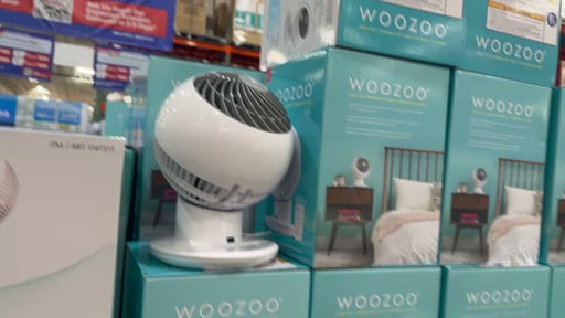 Woozoo 5-Speed Globe Fan