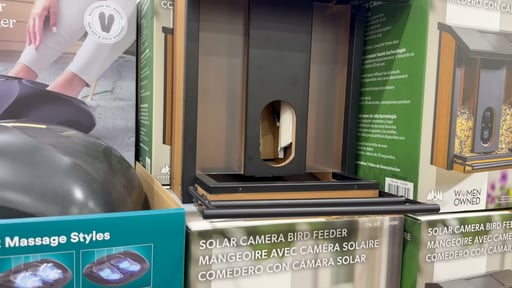 Evergreen Smart Bird Feeder with Solar Camera
