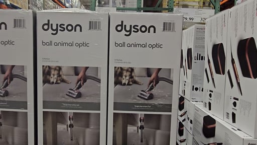 Dyson Ball Animal Optic Corded Upright Vacuum