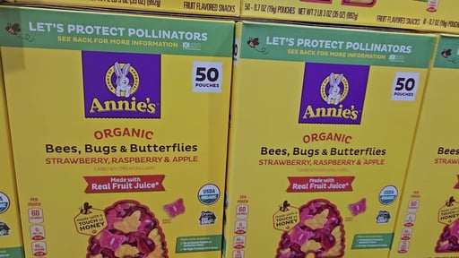 Annie's Organic Bees, Bugs, Butterflies Fruit Snacks, 50 Pouches, 0.7 oz Each