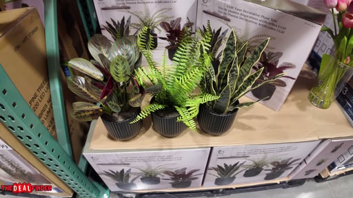 C.G. Hunter Faux Decorative Plant Trio