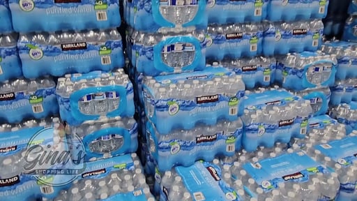 Kirkland Signature Premium Drinking Water 40/16.9 oz