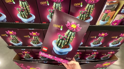 LEGO Botanical Flowering Cactus