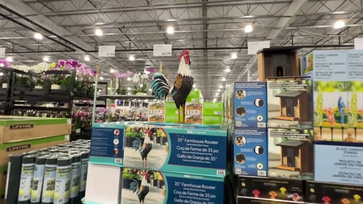 35 Inch Farmhouse Rooster Metal Statue