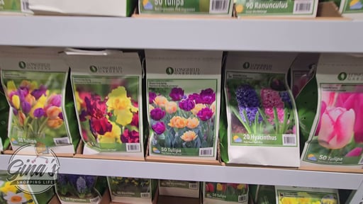 Fall Bulbs Premium Collection