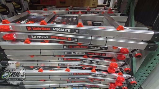 Little Giant Ladder with Rack