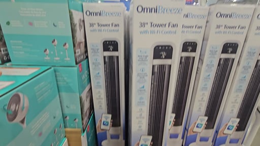 OmniBreeze Tower Fan