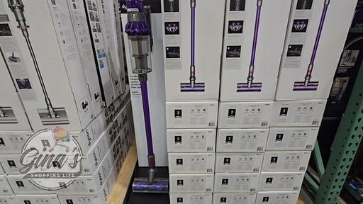 Dyson Cyclone V10 Animal + Cordless Vacuum Cleaner