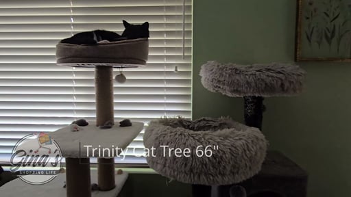 Catry Trinity 66" 5-Level Cat Tree