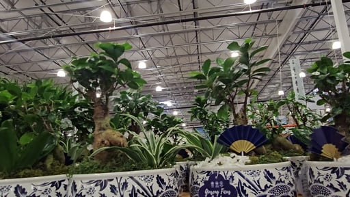 Bonsai Garden