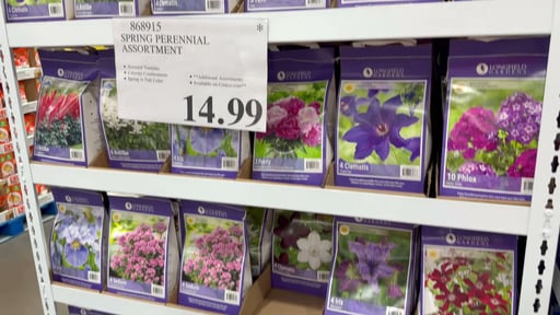 Longfield Gardens Spring Perennial Assortment